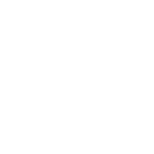 Objective