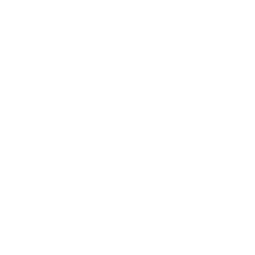 Objective